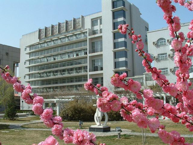 色艹逼视频